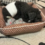 前立腺がんの夫とともに(一瞬「いま」を生きる)