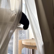 苦しそうな体勢で寝るアヤちゃん