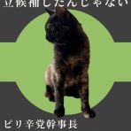 保護猫譲渡るーむ（仙台市　あにまるロック診療所）