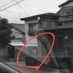 滅私孝行の『父の介護』と『母の看病』板挟み奮闘記❕