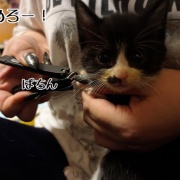 巣立ちの歌☆栄光