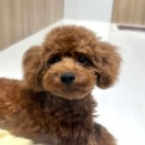 新入りちゃん✨