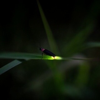 にいがた速報 - 新潟県新潟市の地域情報サイト