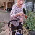 【よもぎ菜園】
