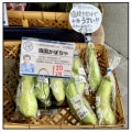 “韓国かぼちゃ” って何？【薬膳おかず】食べてみたら意外なおいしさ✨