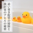 急に寒い！追い焚き配管洗浄＆我が家のアヒルのひみつ