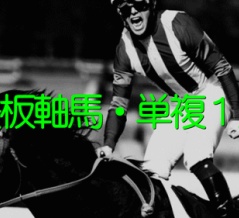 (日)◎鉄板軸馬
