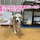 祝！！いろんな記念日☆彡