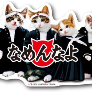 ついっちゃが速報