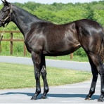 定年後にキャロットライフを楽しむ