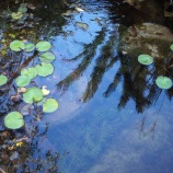 『下落合』の画像