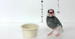 やらかしました