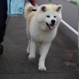 『本日、11月21日（日）オープンしています！』の画像