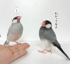 目を合わせないでください