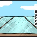 私の散歩の意気込みを削いでくるもの