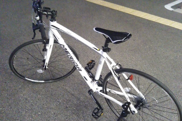 シマウマと私と自転車日記
