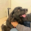 イヴのエリカラ取れました