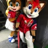 日ハムのフレップ復帰したんやな