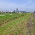 府中多摩川かぜのみち　危険すぎる!!