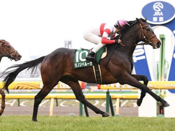 ダノンベルーガついに引退……東京競馬場で乗馬に