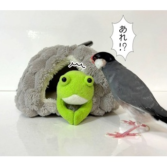 不法侵入を許してもらう方法