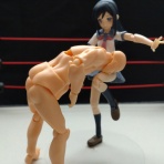 プロレス技をフィギュアで遊ぶブログ