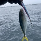 無限ツバイソ&フクラギモード！！