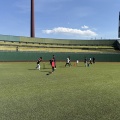 ゴールデンウイークのオフの日は高校野球と六大学野球でした