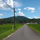 田舎帰省録～自分が帰省したくなかった理由を添えて～