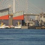 船と花と風景と