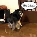 詰めが甘い(~_~;)