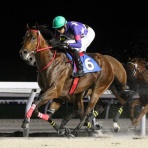 がんばれ！ホッカイドウ競馬　.blog