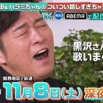 ハラミちゃん活動の記録～Harami Chronicle～