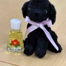 都庁に行ったら買うもの／思い入れのある本とのお別れの件