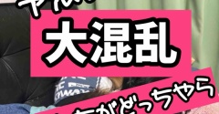 すでに上下関係が出来上がっている。
