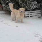 れい＆らな＆りん・・・＆れな♪