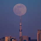 『投稿：スカイツリーと昇る2026年の初満月【追記】　2026/01/07』の画像