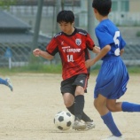 『クラッキフォト 20250412』の画像