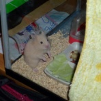 ☆噛みつく天使がやってきた☆