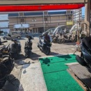 早朝は　めっちゃ寒かったですが～～