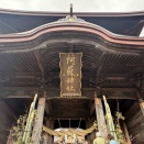 《熊本》阿蘇神社⛩️ 〜 赤牛🐂 ⭐︎  ４日目