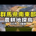 【探鳥】群馬県南東部の農耕地を巡る野鳥観察｜4か所で出会った3種類の野鳥