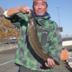 小林貸船釣具店の釣果情報