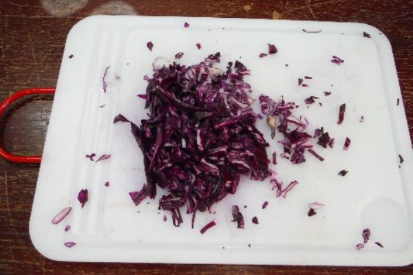 水溶液の性質 6年理科 Jjs日記