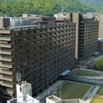 ついっちゃが速報