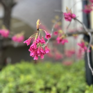 MUSIC MAKES US HAPPY!