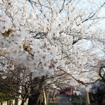 ヒサトわーるど2026