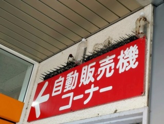 広島本部・4月9日