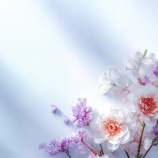 『また歯科に通うことに』の画像