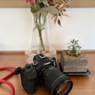 R6Ⅲはヤバい!ファーストインプレ